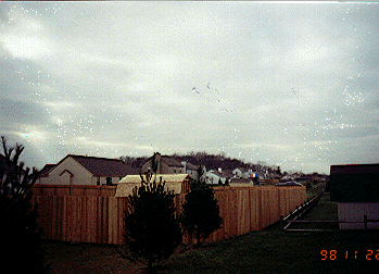 Board on board total cedar privacy fence